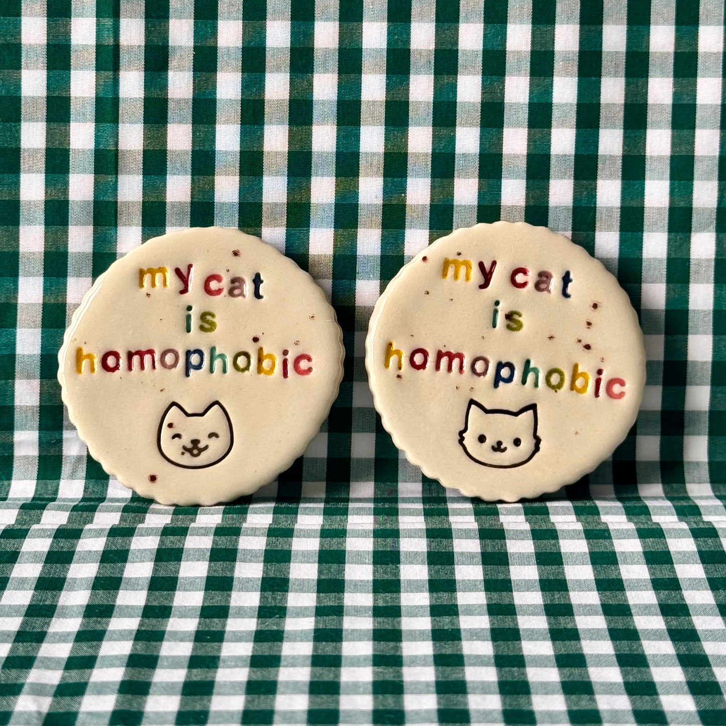 My cat is homophobic - Magnet