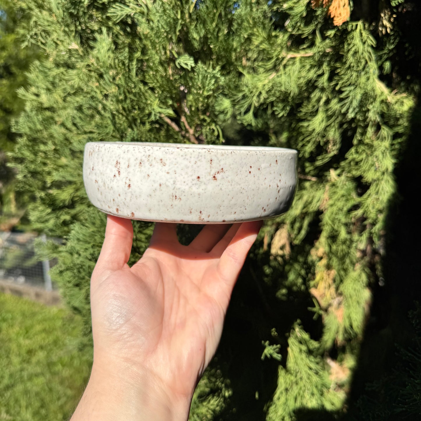 Gay Dog Pet Bowl - White Speckle