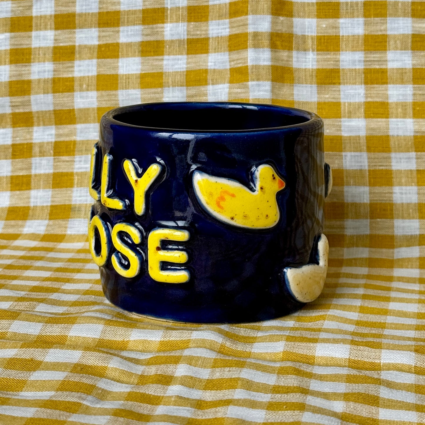 PREORDER Silly Goose Mug