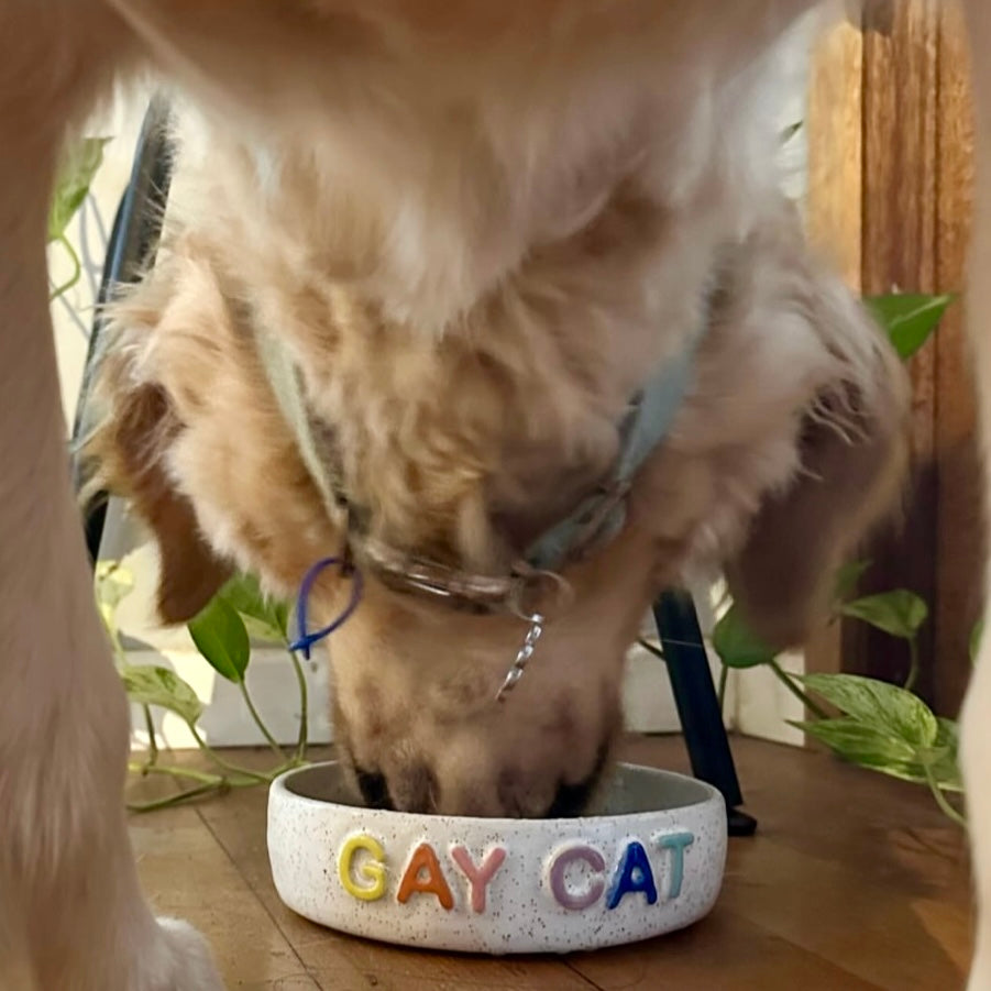 Custom Pet Bowl - PREORDER