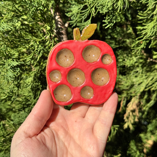 SECONDS Apple Paint Palette