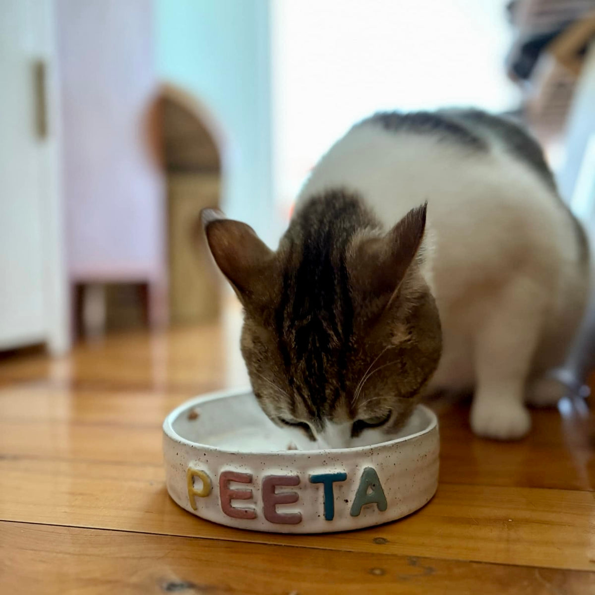Custom Pet Bowl - PREORDER