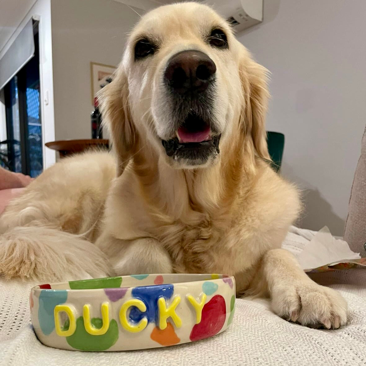 Custom Pet Bowl - PREORDER