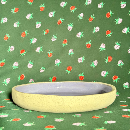Purple Plate - SECONDS