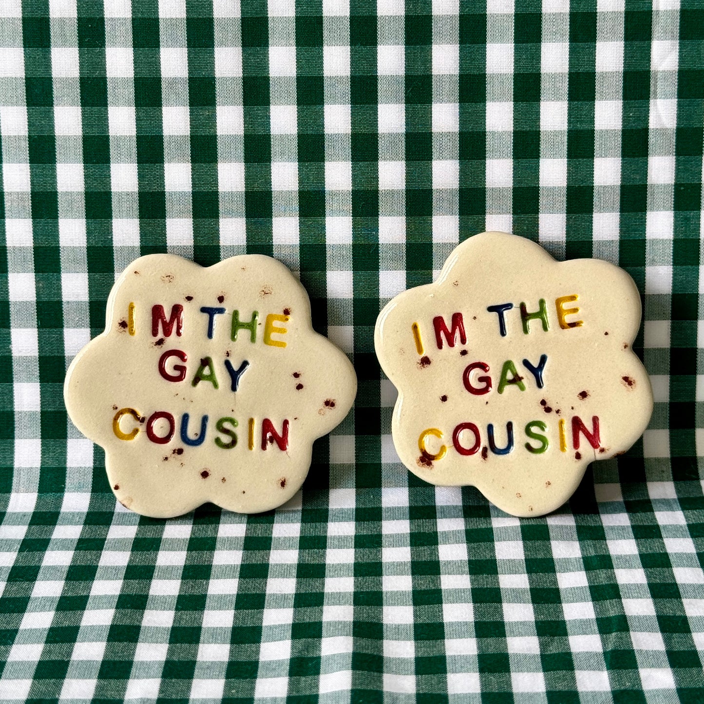 I'm The Gay Cousin Magnet - SECONDS