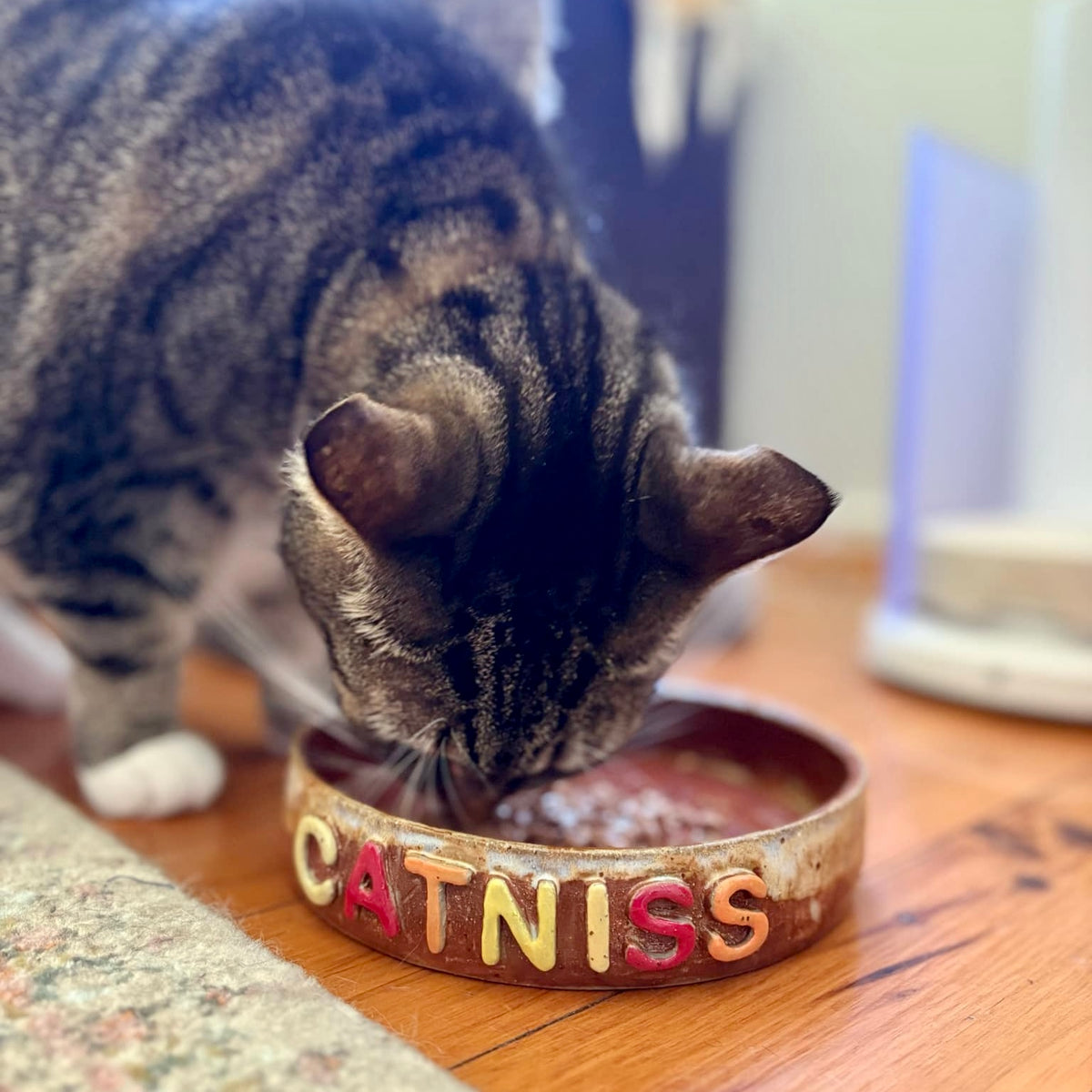Custom Pet Bowl - PREORDER