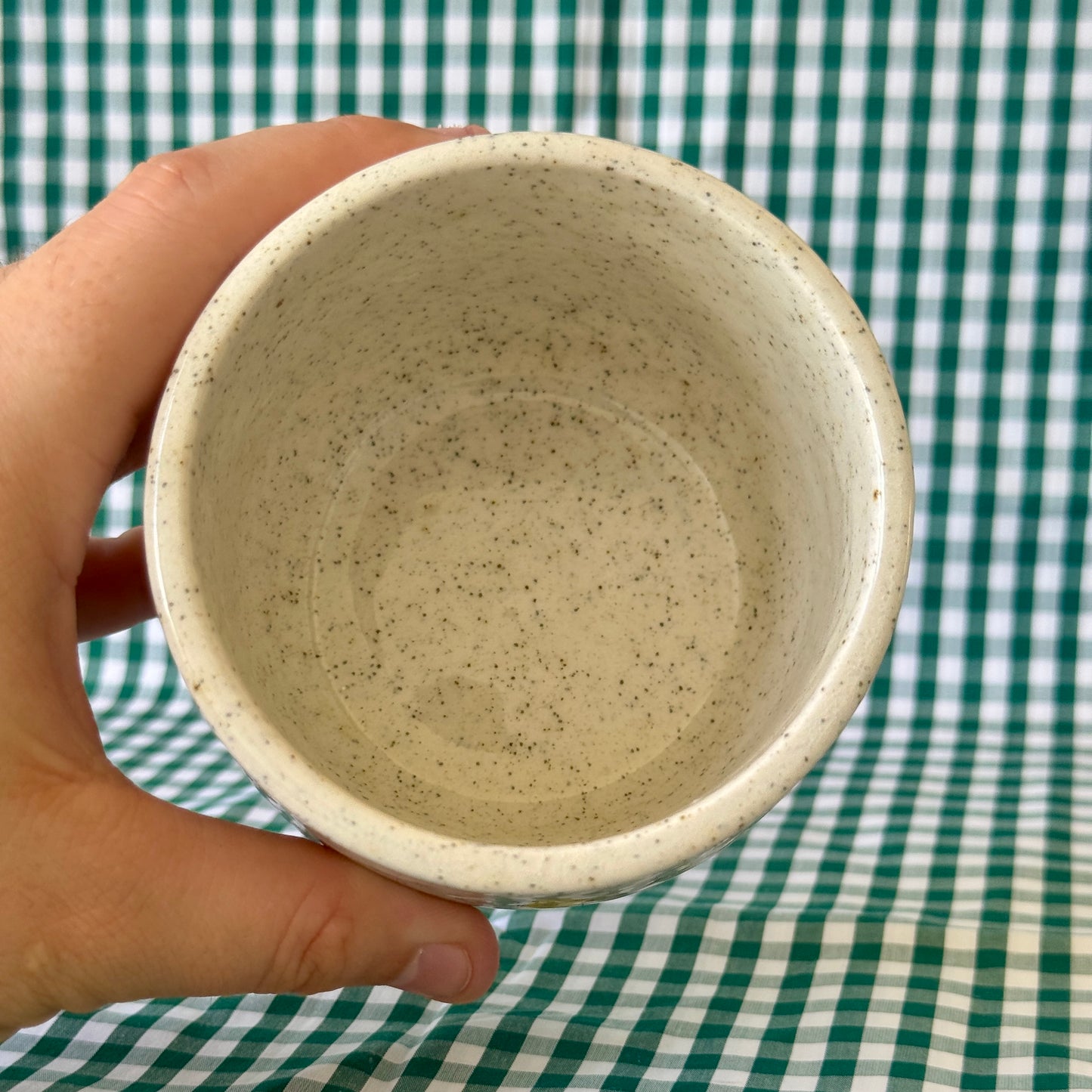 SECONDS - Great day to be gay - Rainbow Cup