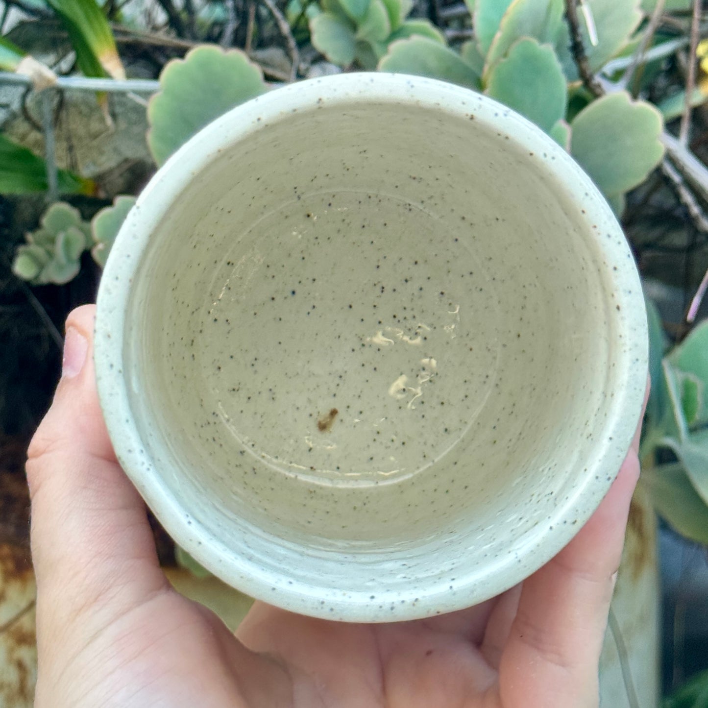 SECONDS - Save a Cowboy, Ride a Dyke - Cup - NOT FOOD SAFE