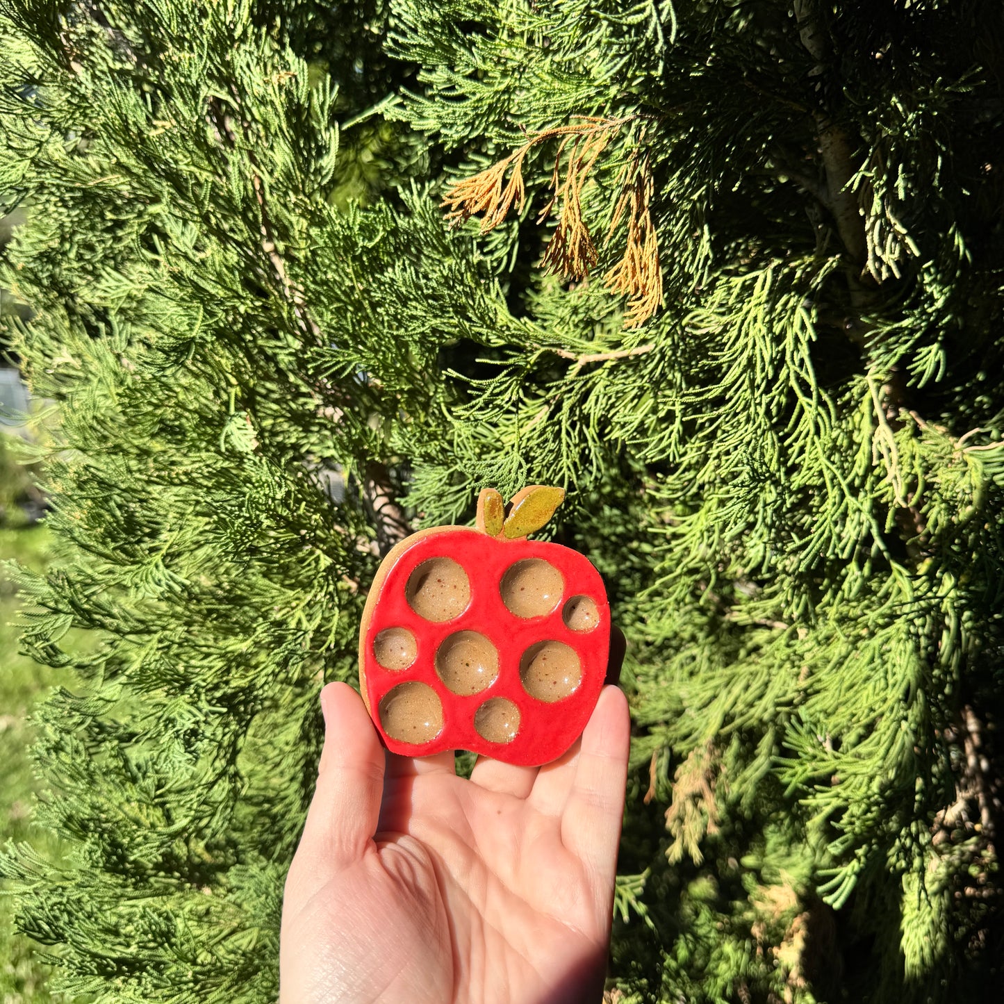 SECONDS Apple Paint Palette