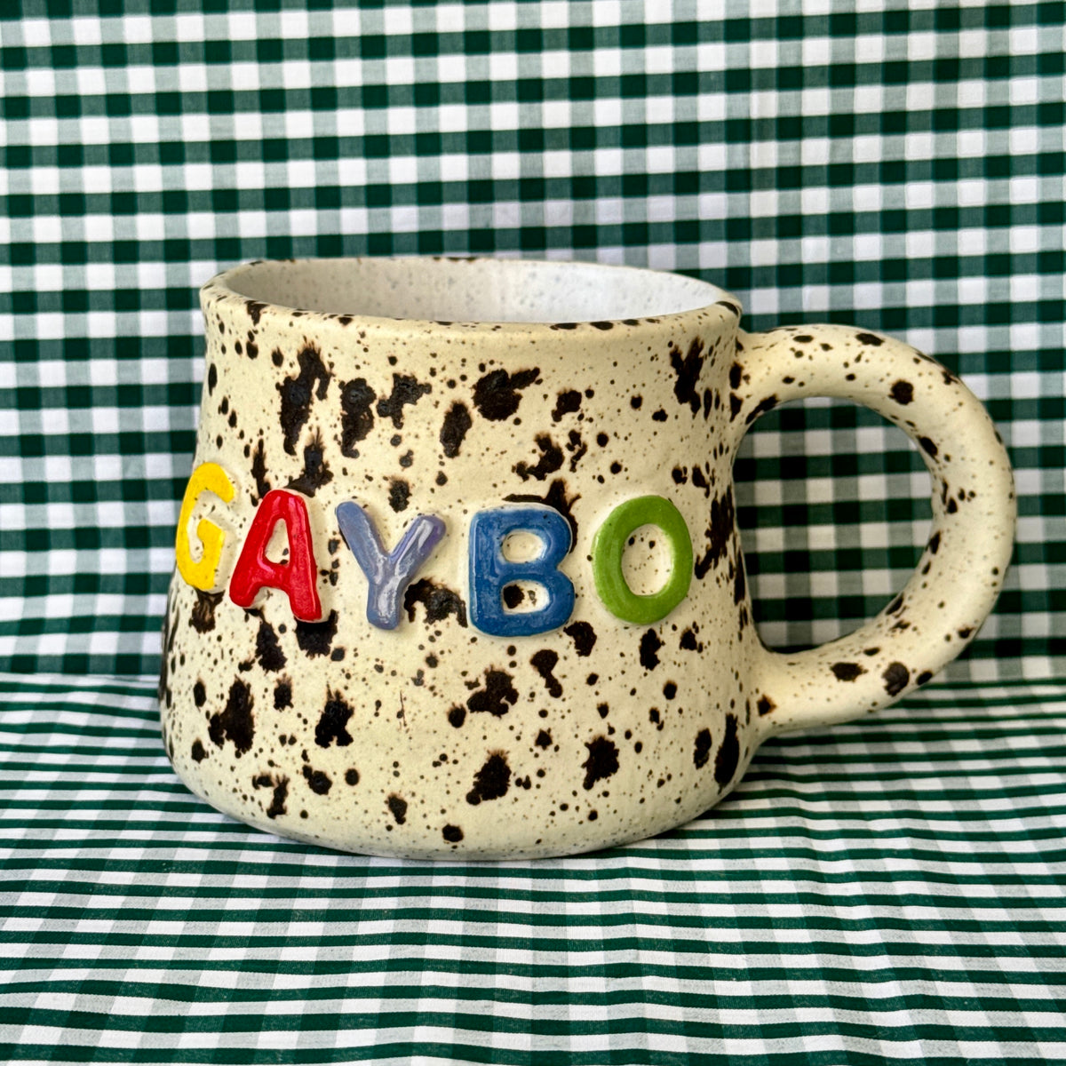 Gaybo Mug - SECONDS